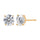 Gold Stud Earrings