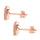 Rose Gold Earrings