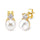 Simulated Diamond Earrings