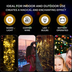 100 LED Lights with Flashing - Timer - Warm Light