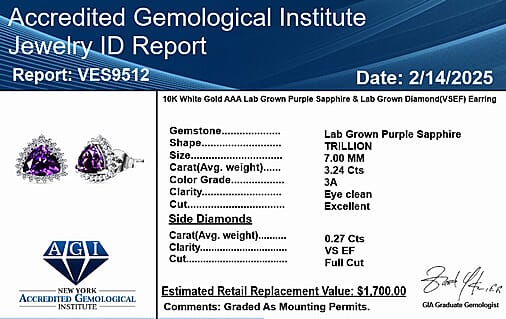 Certified &amp; Appraised LUXURIANT AAA Lab Grown Purple Sapphire, Lab Grown Diamond Halo Push Post Earring in 10K White Gold (EF, VS) 3.31 Ct. 8049990 6