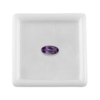 LG AY05 - OVAL - 14x7 - FACE - 1A