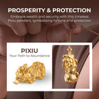 Pixiu Pendant in Yellow Gold Overlay Sterling Silver and Black Tourmaline Beads Bracelet (Size 7-7.5) with Pixiu in Yellow Gold Overlay Sterling Silver 120.00 Ct