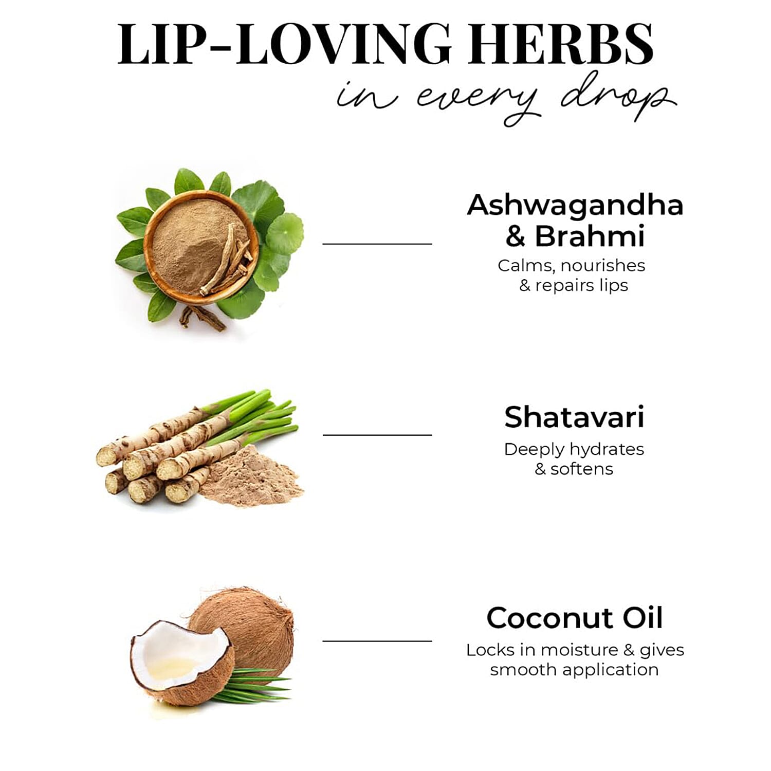 Just Herbs- Set of 10 - Ayurvedic Liquid Matte Finish Lipstick Kit - Pinks and Browns 221298336 1