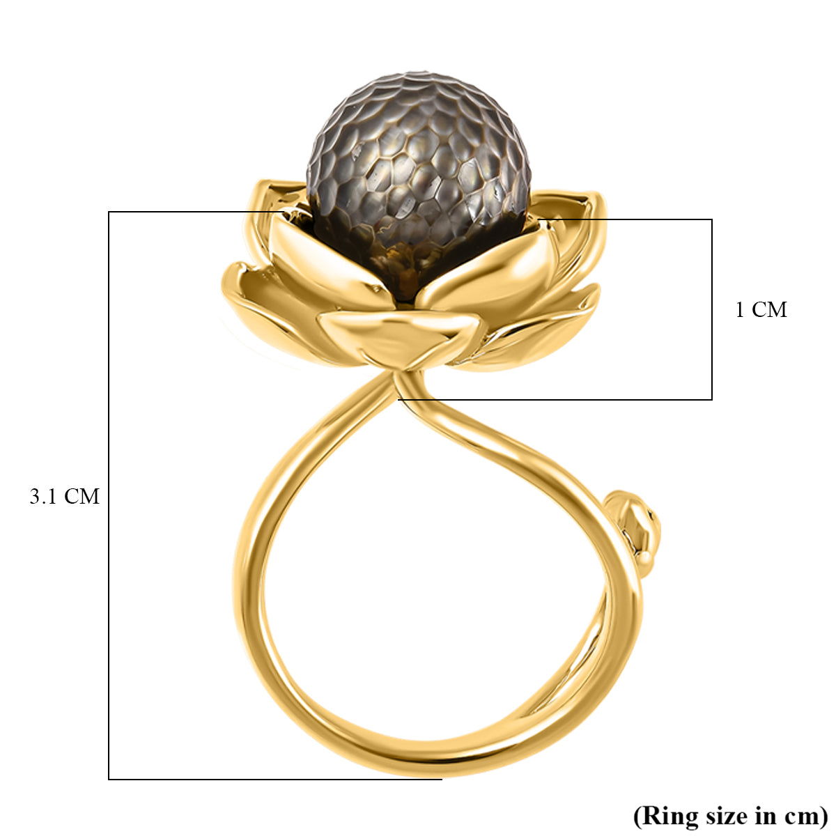 Galatea Pearl - Tahiti Pearl Ring in Vermeil Yellow Gold Plated Sterling Silver 11.25 Ct, Silver Wt. 9.70 Gms. V32521069 6