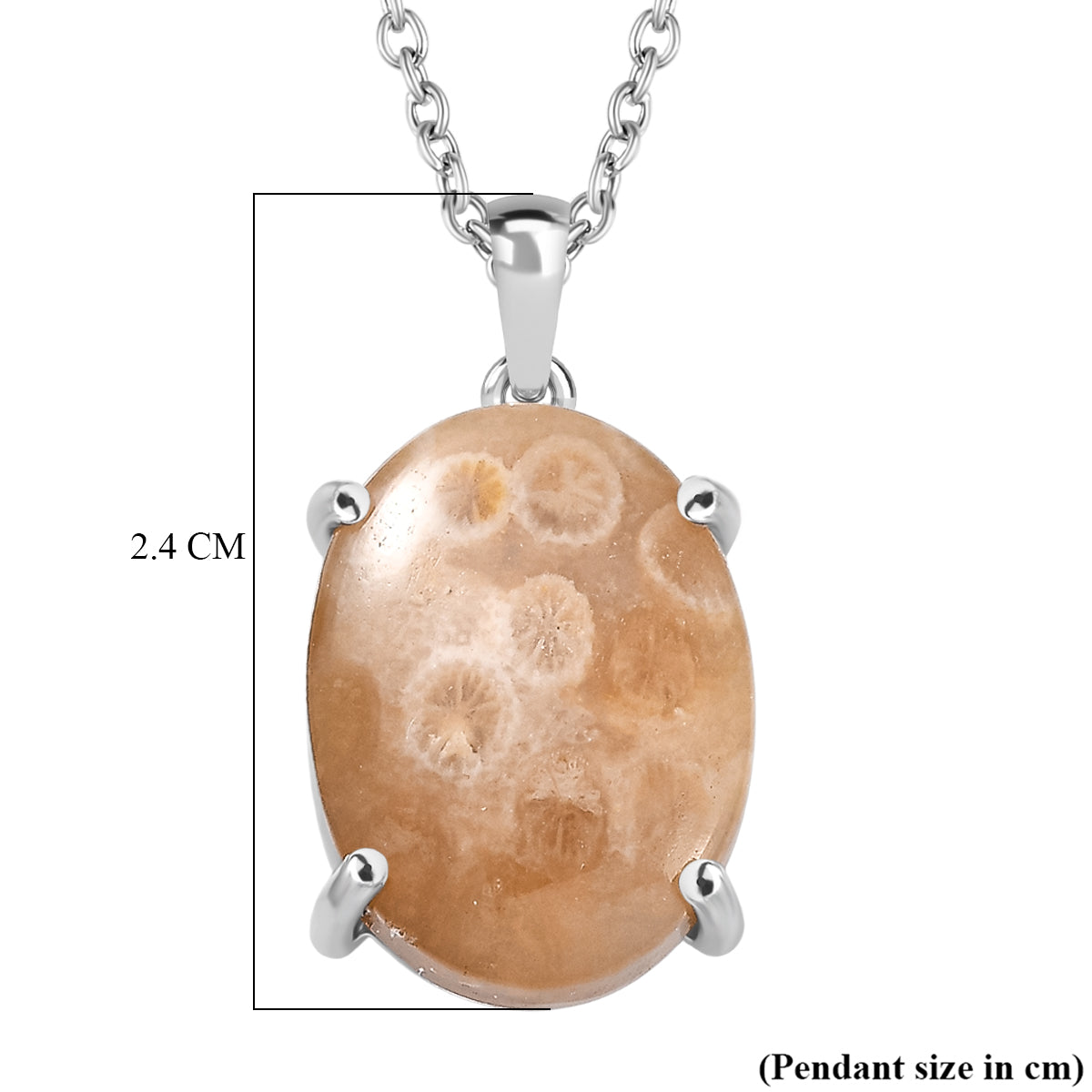 Fossil Coral Pendant with Chain (Size 20) Stainless Steel  10.178  Ct. 4441293 6