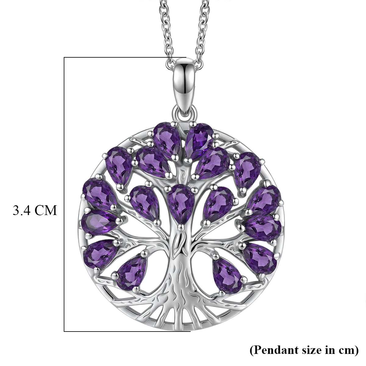 EverTrue - African Amethyst Pendant with Chain (Size 20) 3.43 Ct. 4463460 6