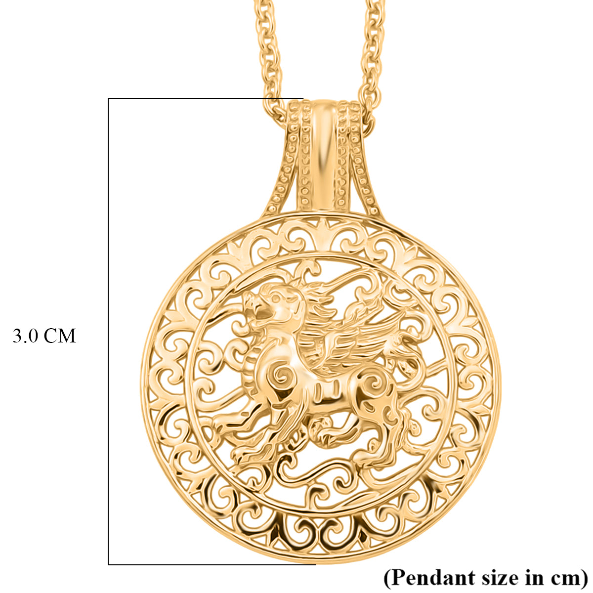 Pendant in Yellow Gold Plated Sterling Silver with Chain (Size 20) V32521588 7