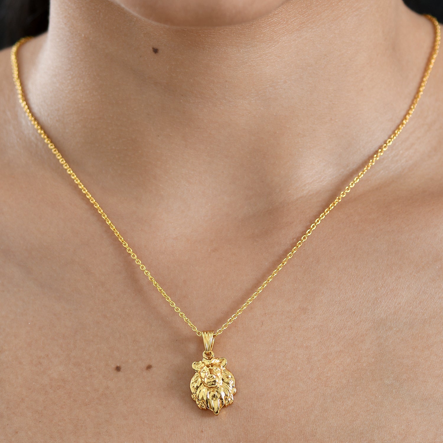EverTrue Bronzella Collection - Lion Pendant with Chain (Size 20) V32365510 2