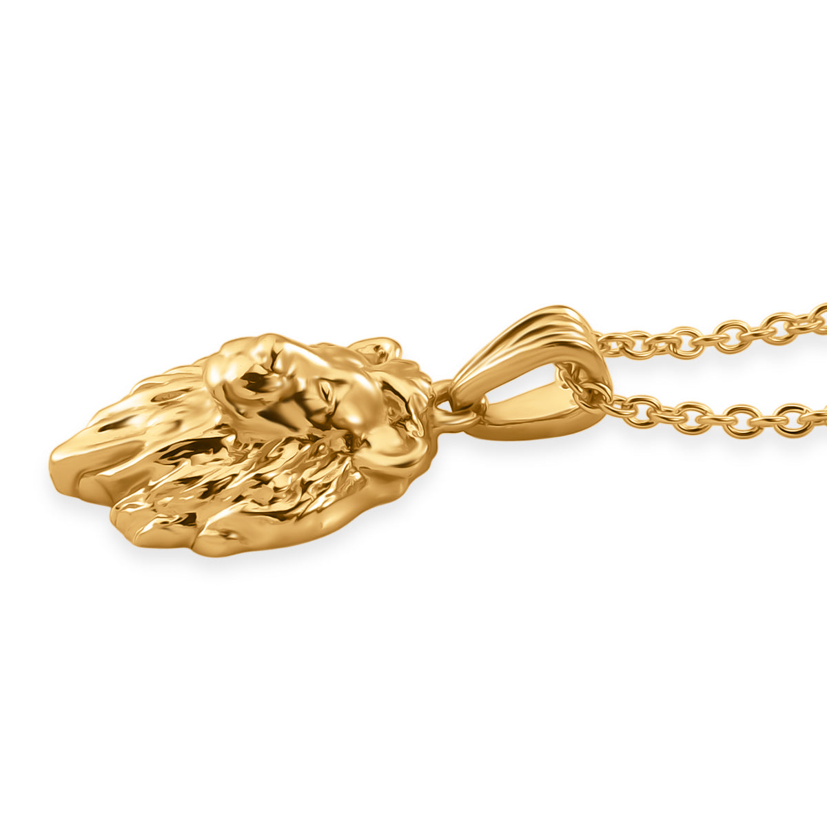 EverTrue Bronzella Collection - Lion Pendant with Chain (Size 20) V32349456 2