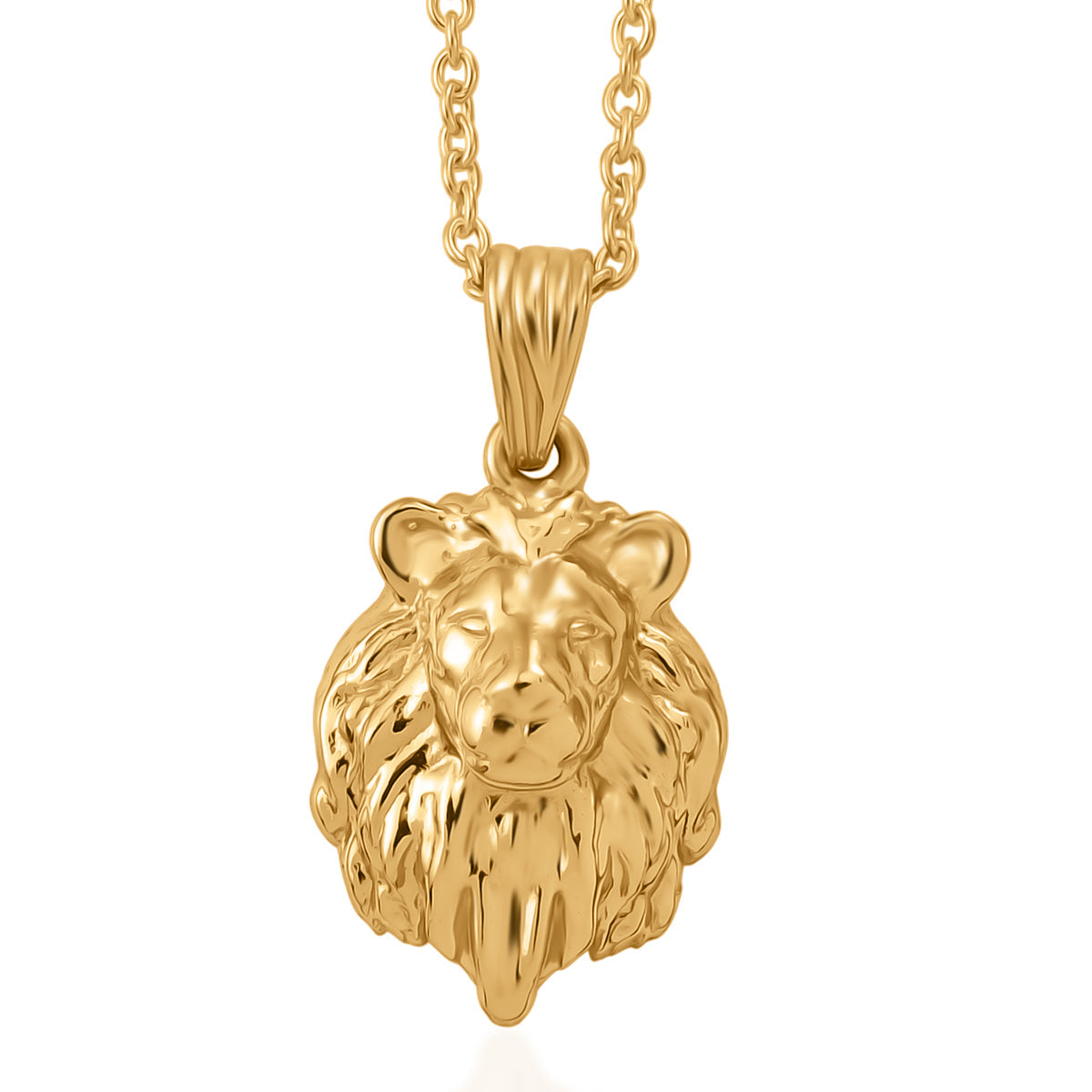 EverTrue Bronzella Collection - Lion Pendant with Chain (Size 20) V32353793 0