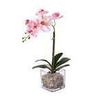 6 Head Butterfly Orchid Flower Foliage with Cobblestone (Size 50x10x10 cm) - Pink