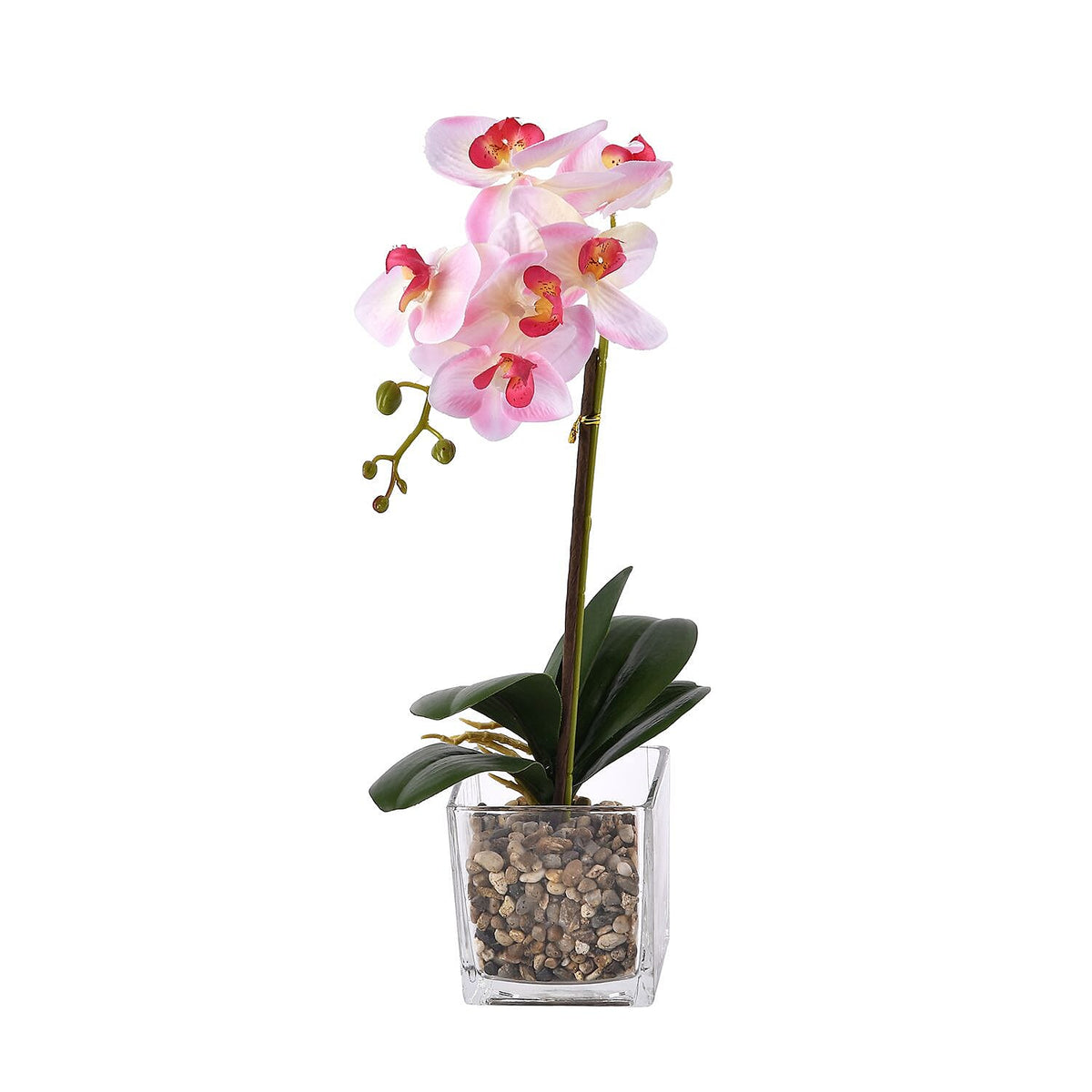 6 Head Butterfly Orchid Flower Foliage with Cobblestone (Size 50x10x10 cm) - Pink 7320146 2