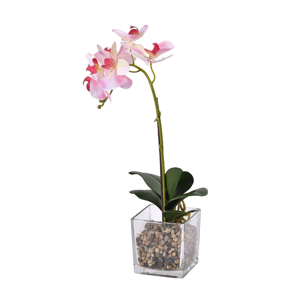 6 Head Butterfly Orchid Flower Foliage with Cobblestone (Size 50x10x10 cm) - Pink
