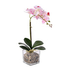 6 Head Butterfly Orchid Flower Foliage with Cobblestone (Size 50x10x10 cm) - Pink