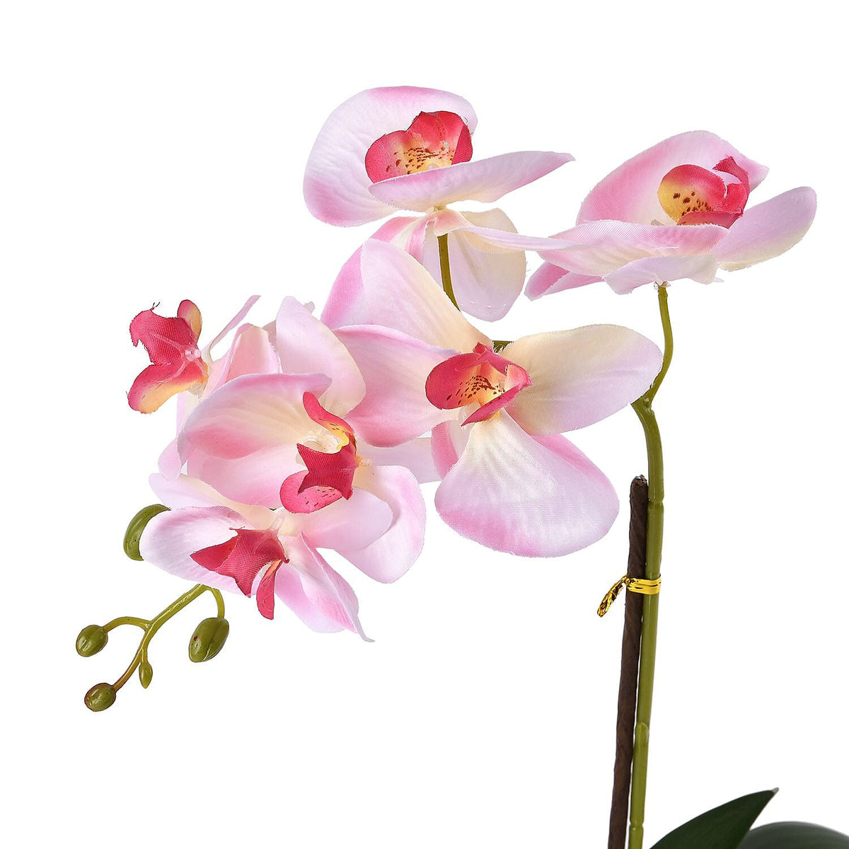 6 Head Butterfly Orchid Flower Foliage with Cobblestone (Size 50x10x10 cm) - Pink 7320146 5