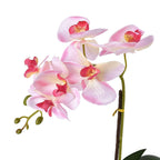 6 Head Butterfly Orchid Flower Foliage with Cobblestone (Size 50x10x10 cm) - Pink