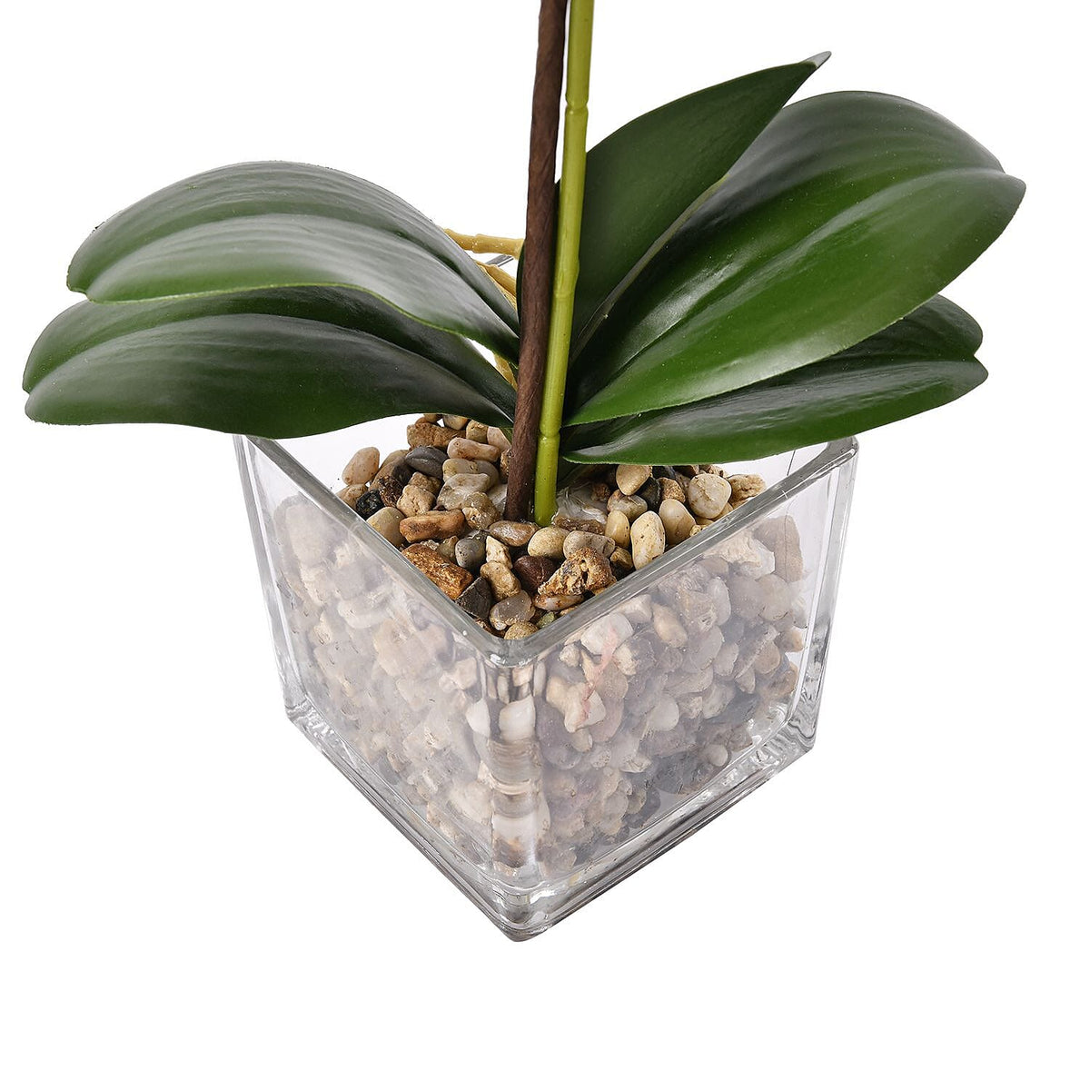 6 Head Butterfly Orchid Flower Foliage with Cobblestone (Size 50x10x10 cm) - Pink 7320146 6