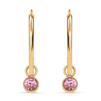 5 Piece Set - Golden & Multi Color Crystal Charms and Earrings