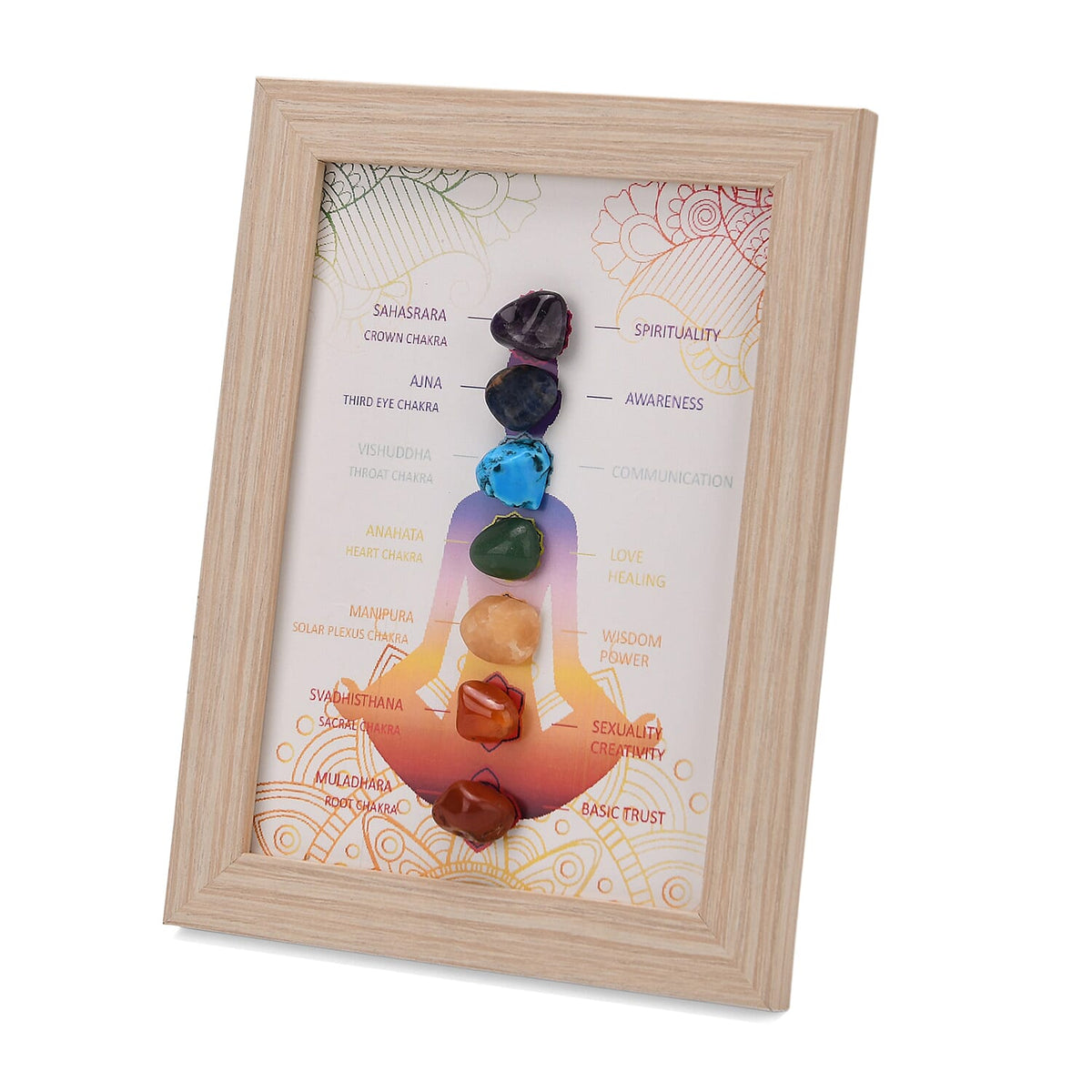 Multi-Gemstone 7 Chakra Healing Crystal Gift Set: Photo Case &amp; Red Agate Beads Stretchable Bracelet (7.5-8 inch) V32513330 5