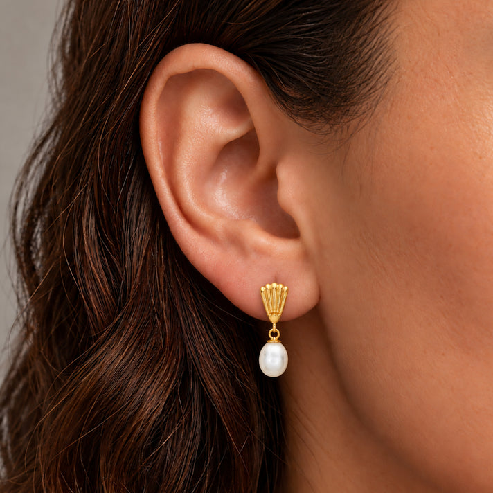 9K Yellow Gold 7mm x 9mm Freshwater Pearl Shell Drop Earrings 7078156 2
