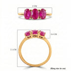D'Joy - African Ruby Trilogy Ring in 18K Vermeil Yellow Gold Plated Sterling Silver 2.10 Ct._7442256_7