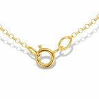 9K Yellow Gold Round Belcher Chain With Spring Ring Clasp (Size - 16)_7578827_3