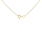Sterling Silver Chain (Size - 14)_7617531_3