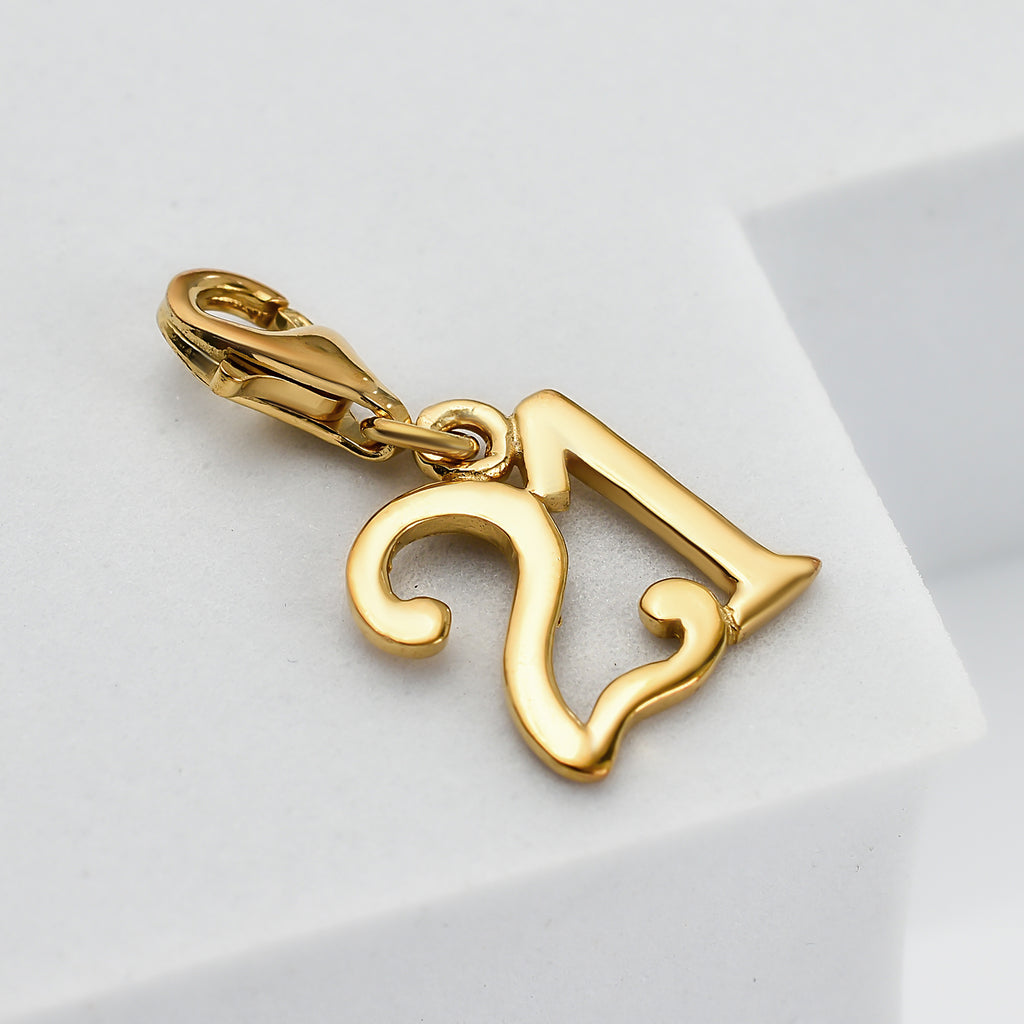 Rachel Galley - Yellow Gold Overlay Sterling Silver 21 Charm_7676364_1