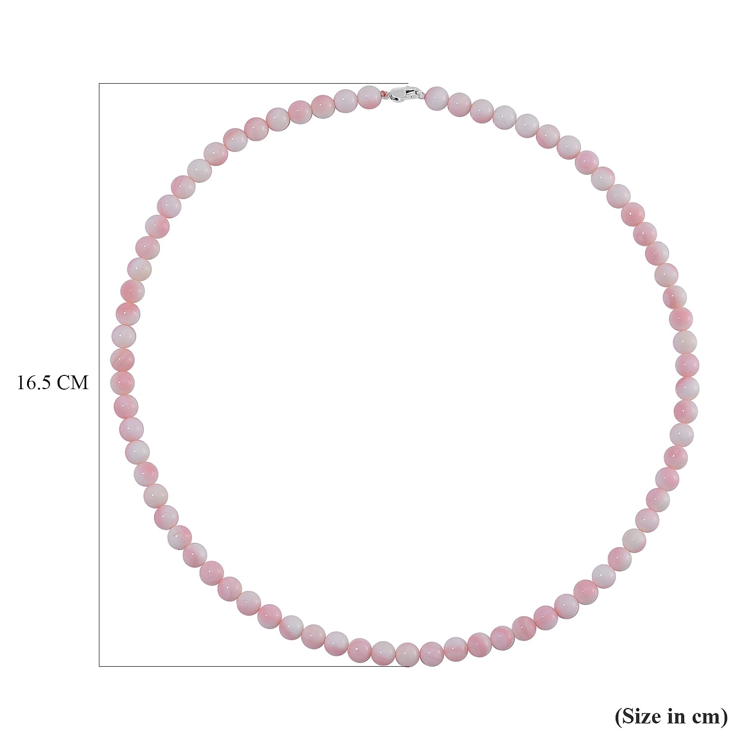 Rhapsody - 950 Platinum AAAA Pink Conch Shell Beads Necklace (Size - 20) 170.00 Ct 7805508 4