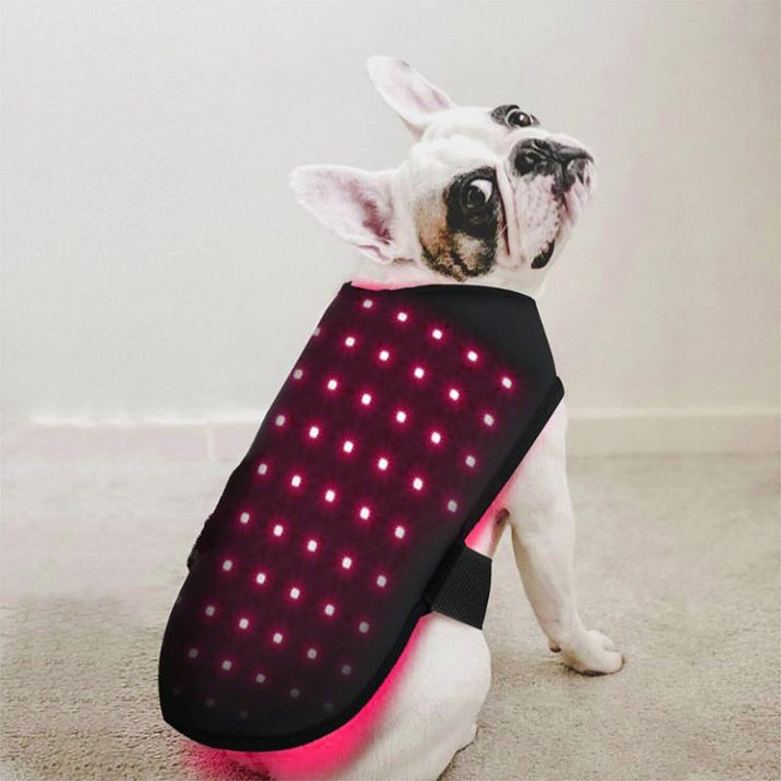 OPATRA LumiPet: With Red LED and Near Infrared Light for Dogs (41cm) 7982877 2