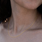 9K Yellow Gold Spiga Necklace (Size 16) with Lobster Clasp_8055952_1
