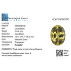 Turkizite Oval Size Varies