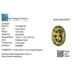 Turkizite Oval Size Varies