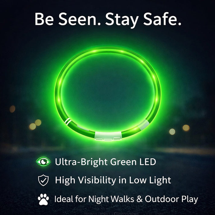 Set of 2 LED Pet Glow Collars | USB Rechargeable LED Pet Collars for Night Walk - Green 8103601 2