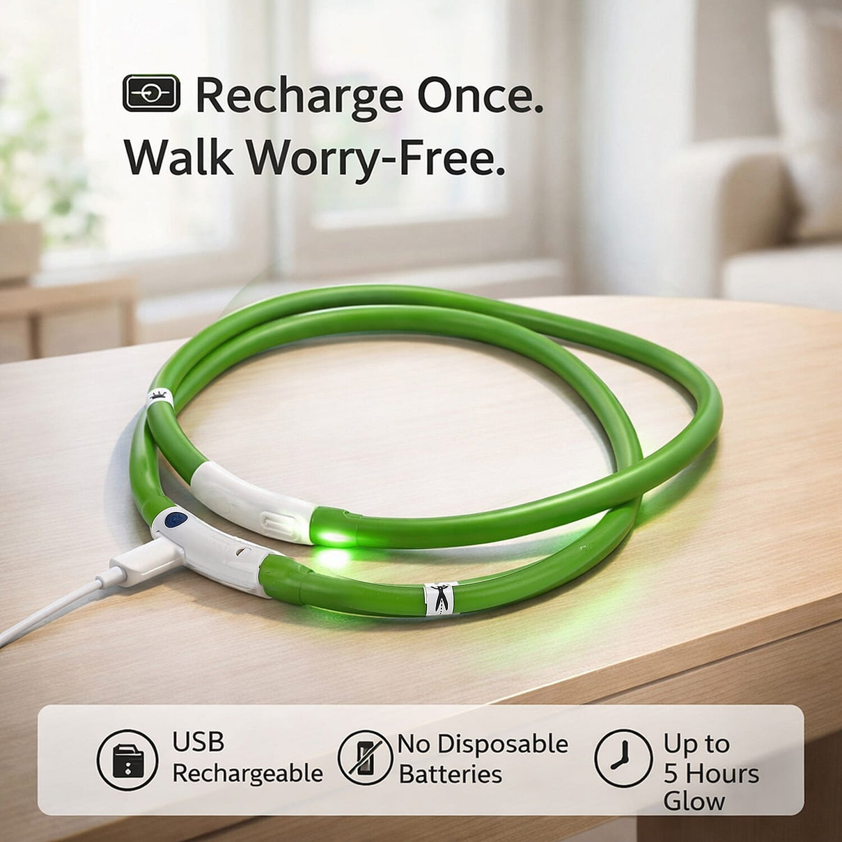 Set of 2 LED Pet Glow Collars | USB Rechargeable LED Pet Collars for Night Walk - Green V32363734 3