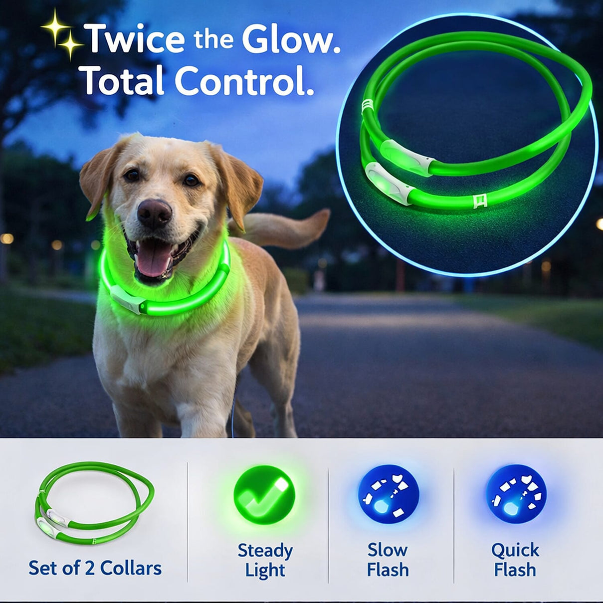 Set of 2 LED Pet Glow Collars | USB Rechargeable LED Pet Collars for Night Walk - Green V32363734 4