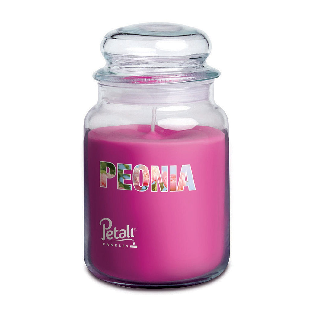 Petali Set of 3 Scented Large Jar Candles - Biscotti, Cherry & Peony - Total 300 Hours Burn Time_8107268_3
