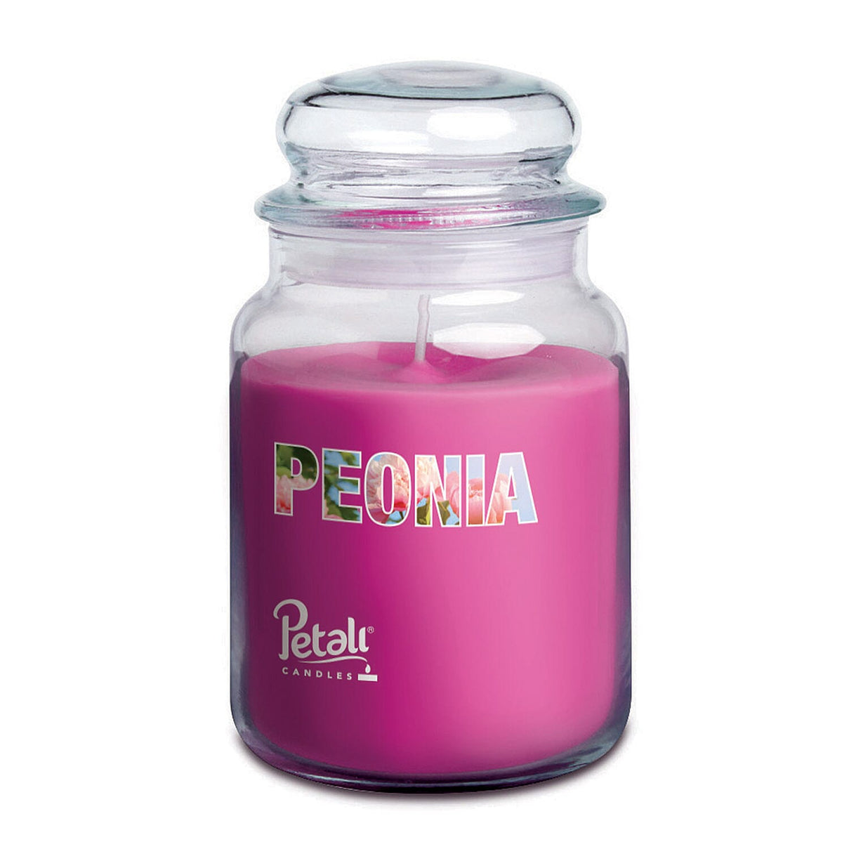 Petali Set of 3 Christmas Scented Large Jar Candles - Biscotti, Apple Spice &amp; Wellbeing - Yellow 8107268 3