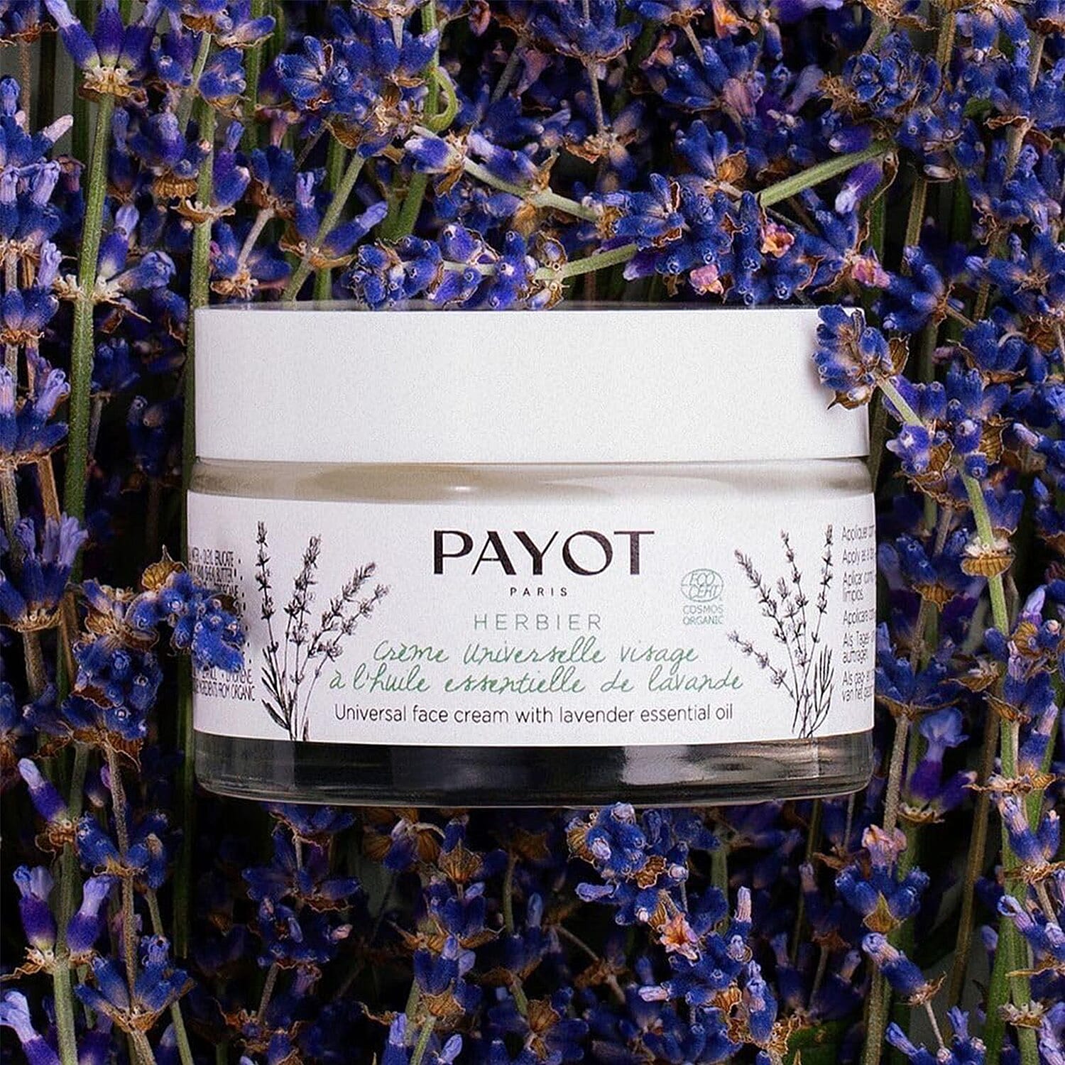 PAYOT Herbier Duo Organic Skincare Ritual Set 8158703 4