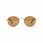 Vintage-Inspired Gold Frame Sunglasses with Brown Lenses & Side Panels_8163652
