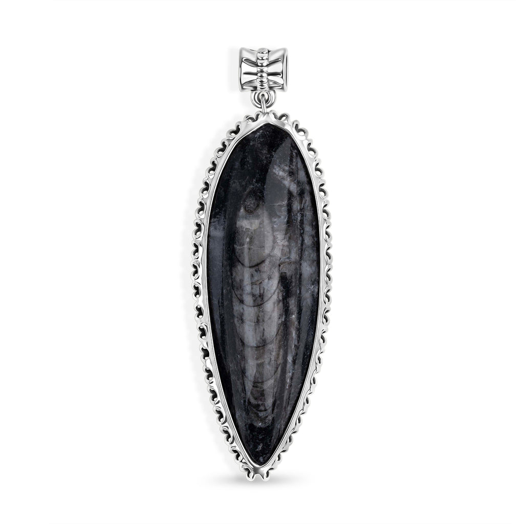 The Artefact Collection - Orthoceras Fossil Pendant 59.00 Ct._8184179