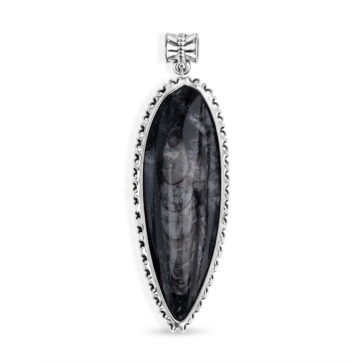 The Artefact Collection - Orthoceras Fossil Pendant 59.00 Ct. 8184179 0