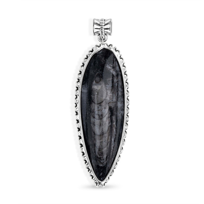 The Artefact Collection - Orthoceras Fossil Pendant 59.00 Ct. 8184179 1