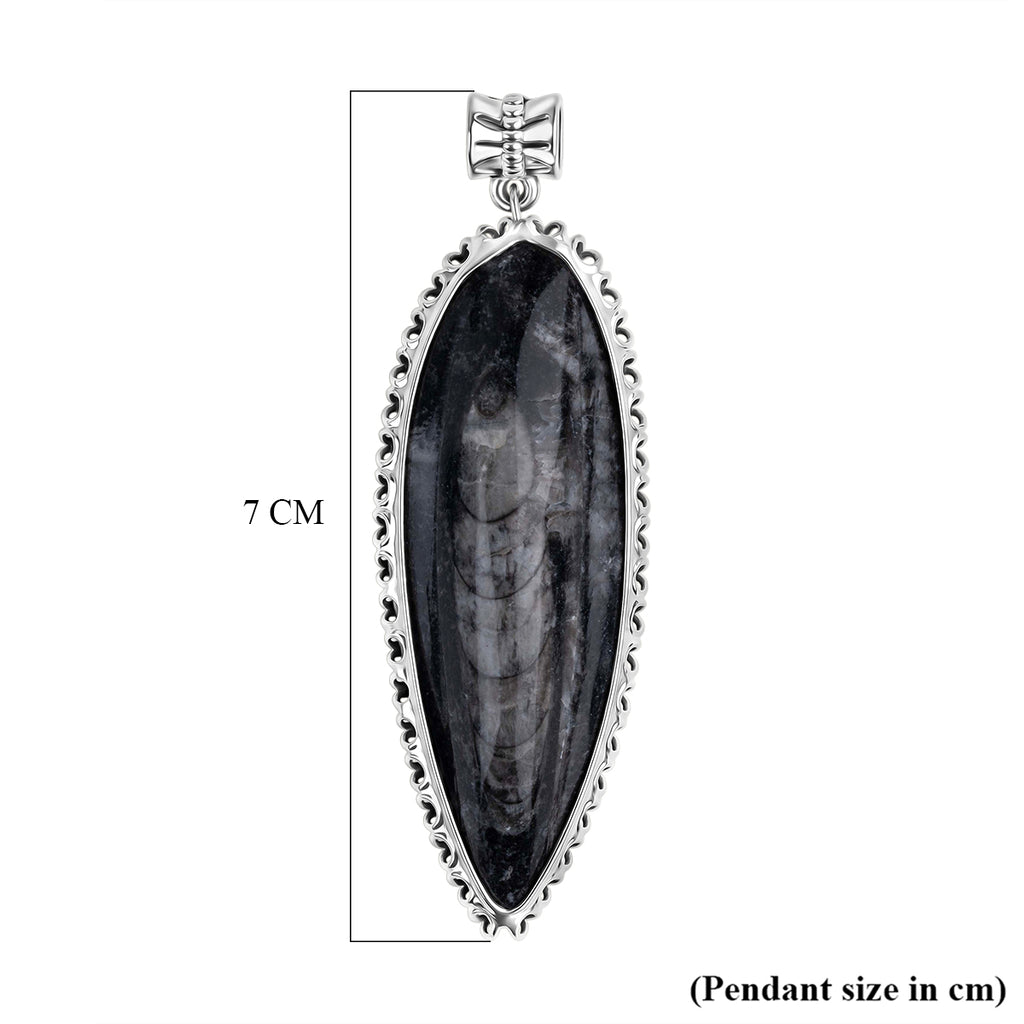 The Artefact Collection - Orthoceras Fossil Pendant 59.00 Ct._8184179_3