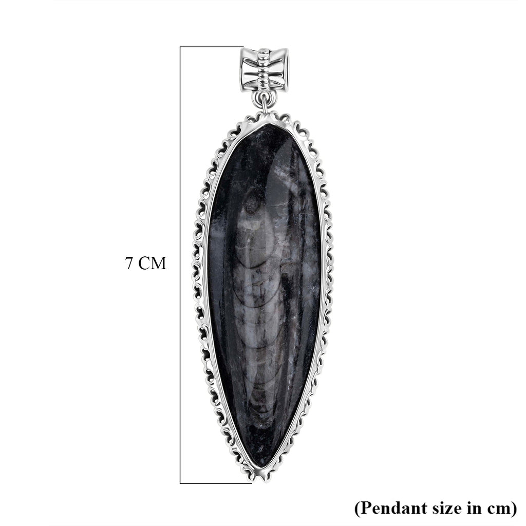 The Artefact Collection - Orthoceras Fossil Pendant 59.00 Ct.