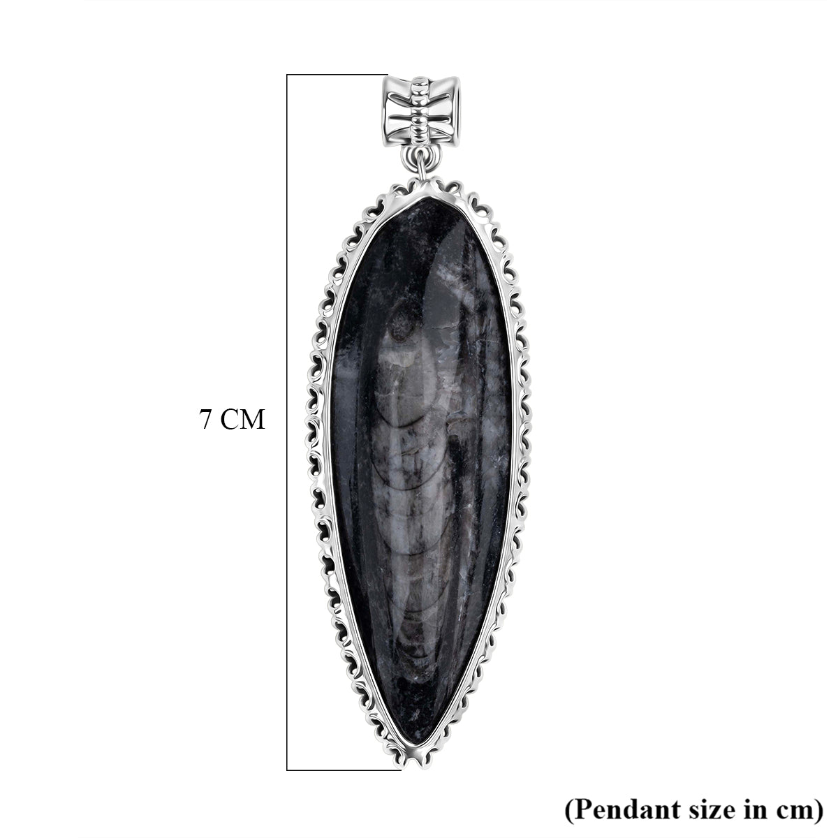 The Artefact Collection - Orthoceras Fossil Pendant 59.00 Ct. V32358655 3