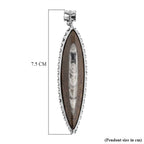 The Artefact Collection - Orthoceras Handmade Pendant 59.00 Ct._8184361_4