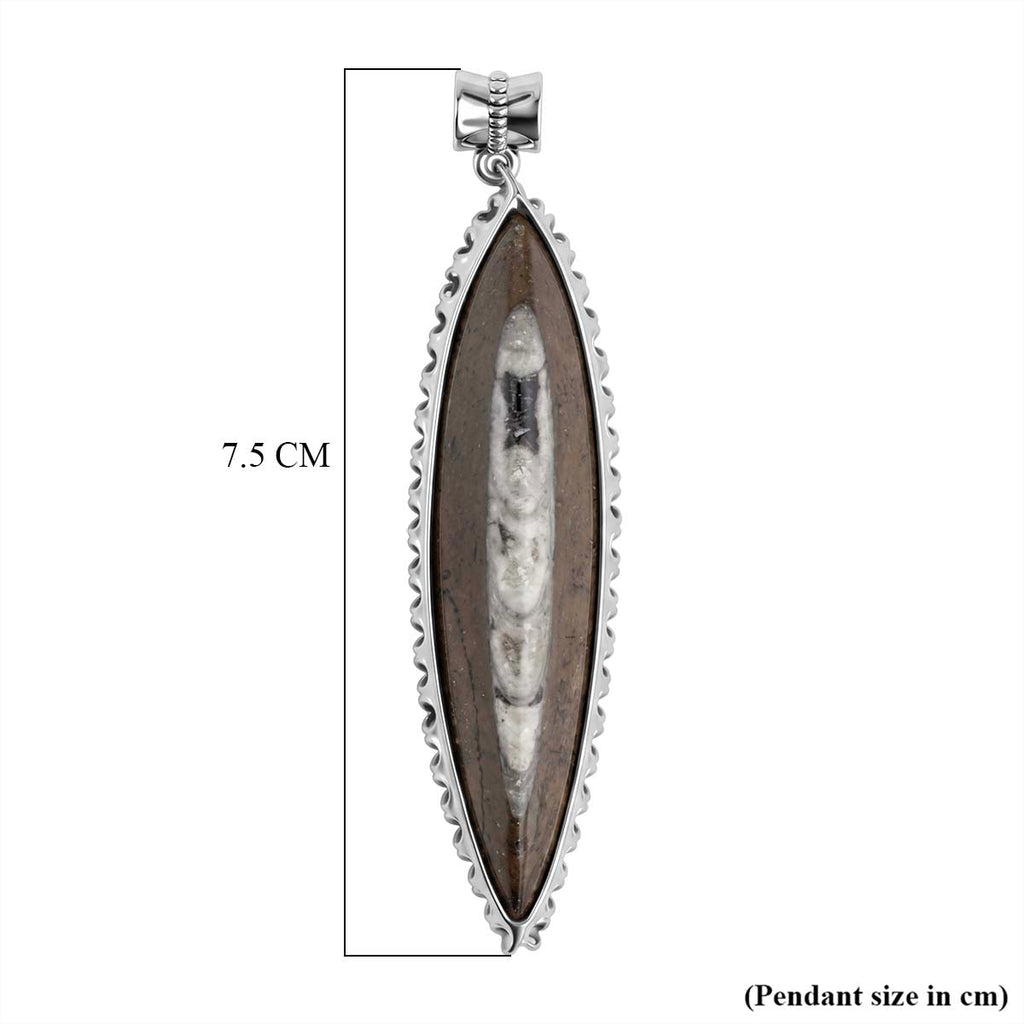 The Artefact Collection - Orthoceras Handmade Pendant 59.00 Ct.