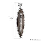 The Artefact Collection - Orthoceras Handmade Pendant 59.00 Ct.